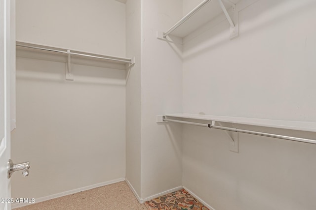 spacious closet featuring light colored carpet