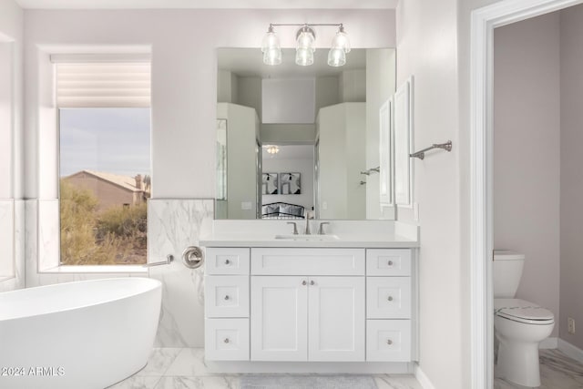 bathroom featuring a bathtub, toilet, and vanity