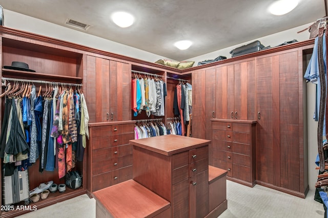 spacious closet with light carpet