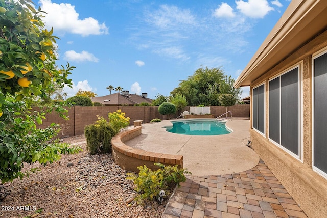 view of swimming pool with a patio area