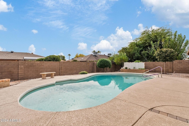 view of pool with a patio