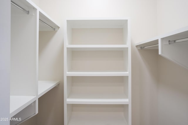 view of walk in closet