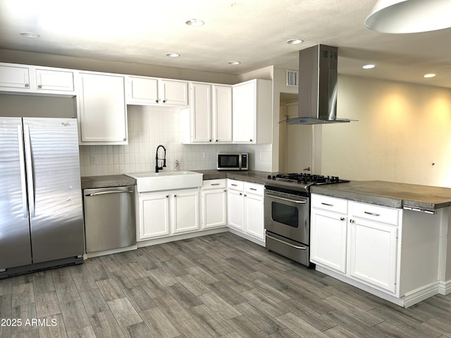 kitchen with tasteful backsplash, a peninsula, island exhaust hood, stainless steel appliances, and a sink