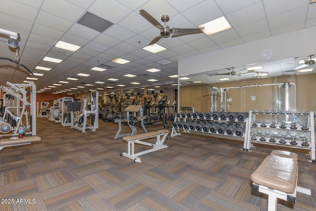 gym with a ceiling fan, carpet, and a drop ceiling