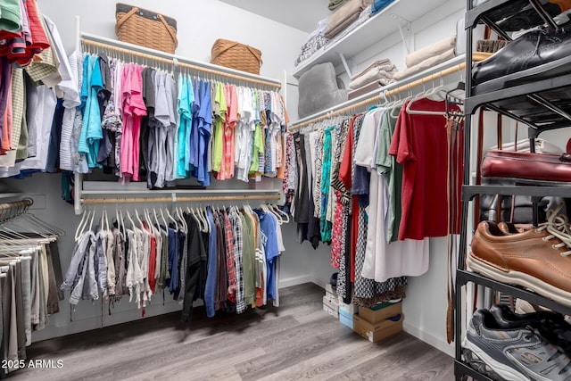 spacious closet featuring wood finished floors