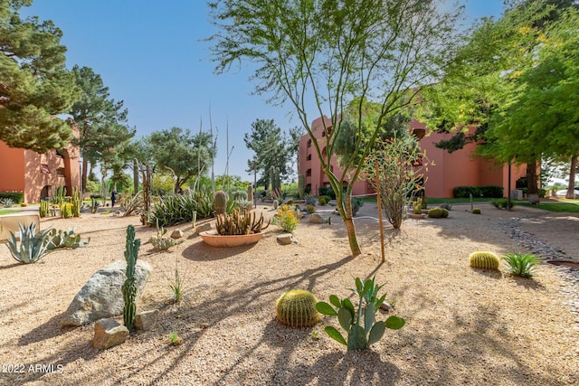 12212 N Paradise Village Pkwy S Unit 451, Phoenix, AZ 85032 - view of yard