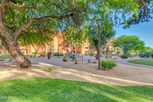 12212 N Paradise Village Pkwy S Unit 451, Phoenix, AZ 85032 - view of home's community with a lawn