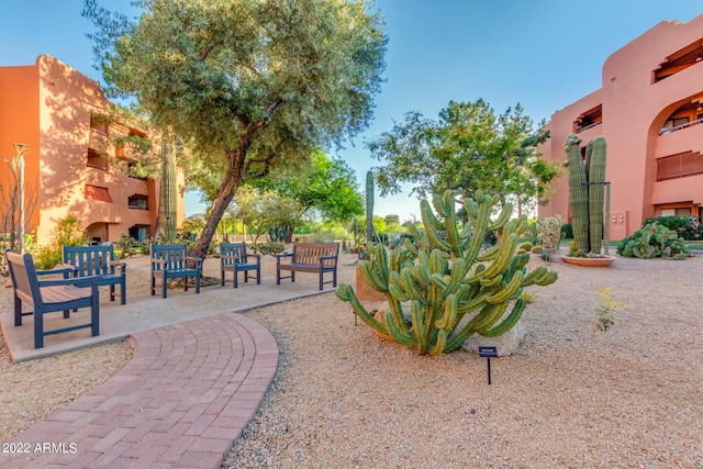 12212 N Paradise Village Pkwy S Unit 451, Phoenix, AZ 85032 - view of community featuring a patio