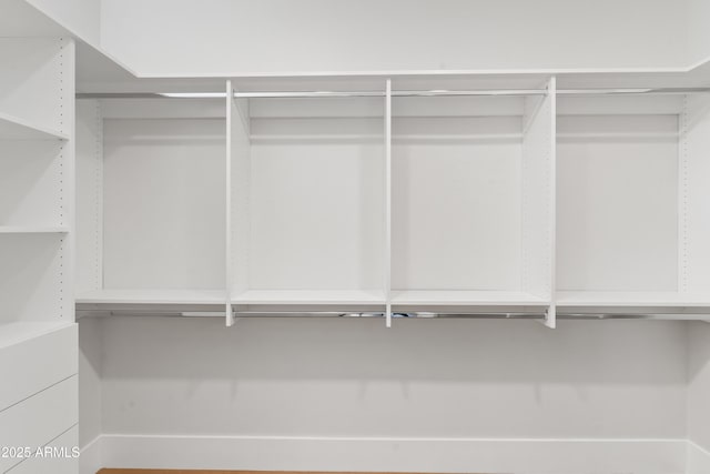 view of spacious closet