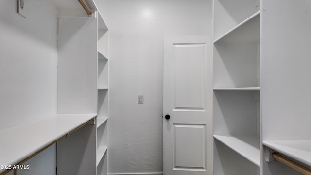 view of spacious closet