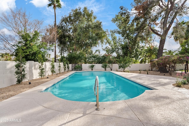 view of pool with a fenced in pool, a fenced backyard, and a patio