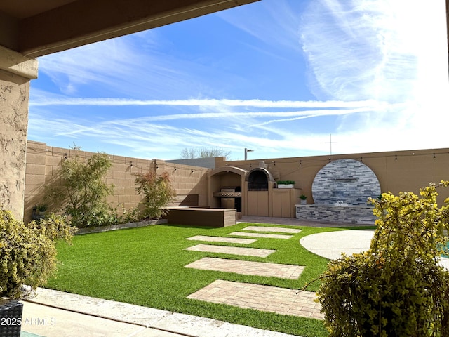 view of yard with a patio area and an outdoor kitchen