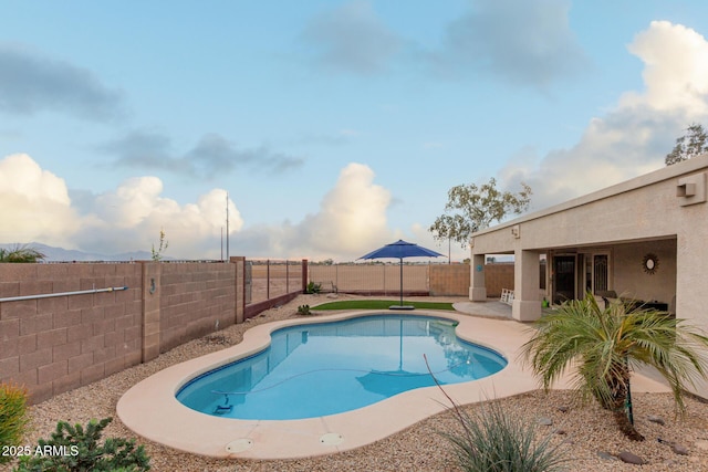 view of pool featuring a patio