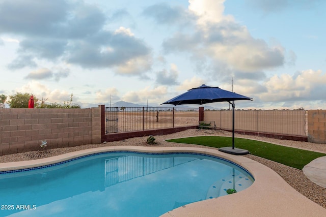 view of swimming pool