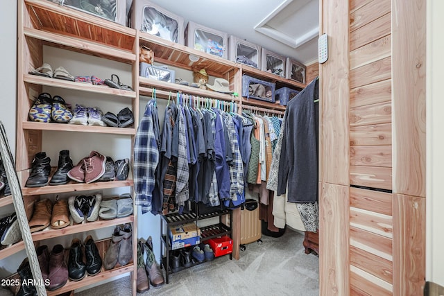 walk in closet with carpet