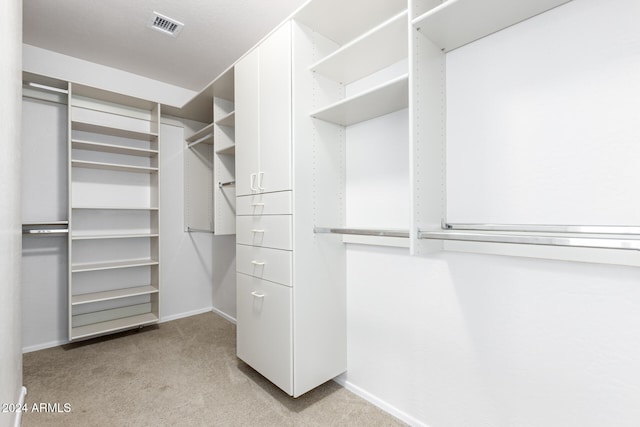 spacious closet featuring light colored carpet