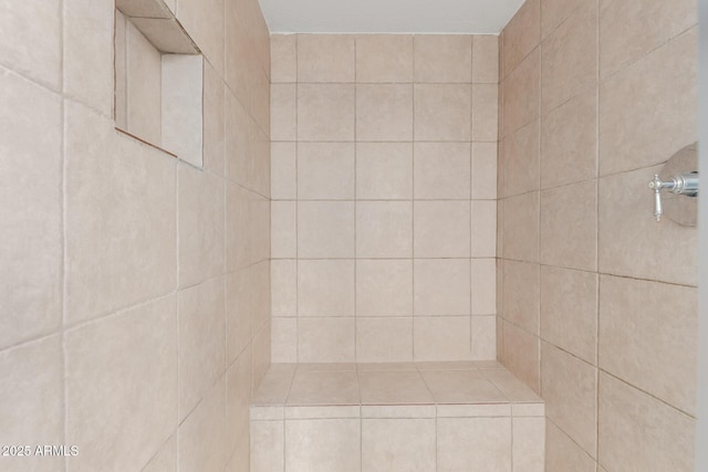 1515 N Saguaro Dr, Tempe, AZ 85288 - full bathroom with tiled shower