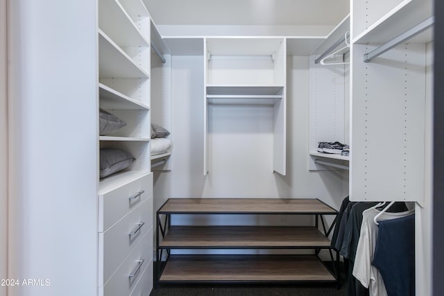 view of walk in closet