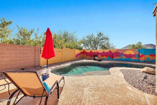 view of pool featuring a patio