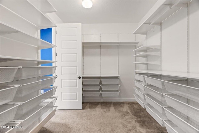 walk in closet with carpet floors