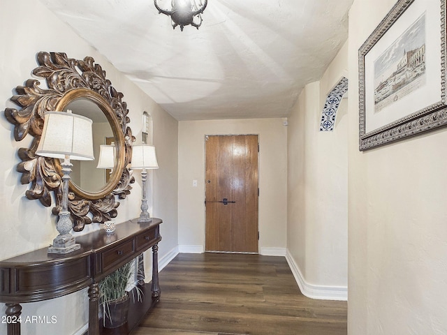 entrance foyer featuring dark hardwood / wood-style flooring