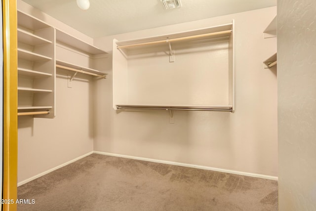 9207 W Kirby Ave, Tolleson, AZ 85353 - walk in closet with carpet flooring