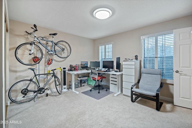 office space featuring a healthy amount of sunlight and light carpet