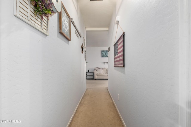 hallway with carpet floors