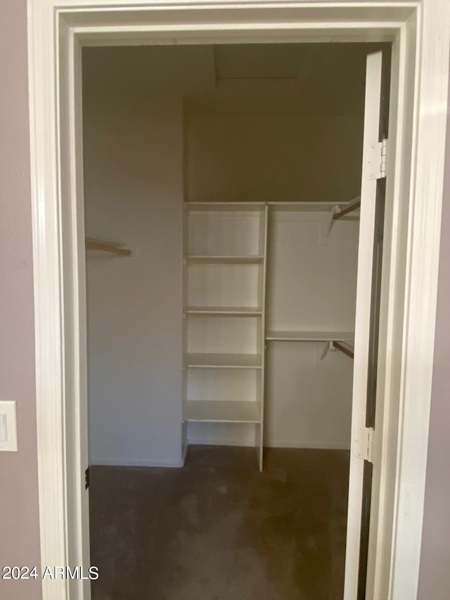 view of spacious closet