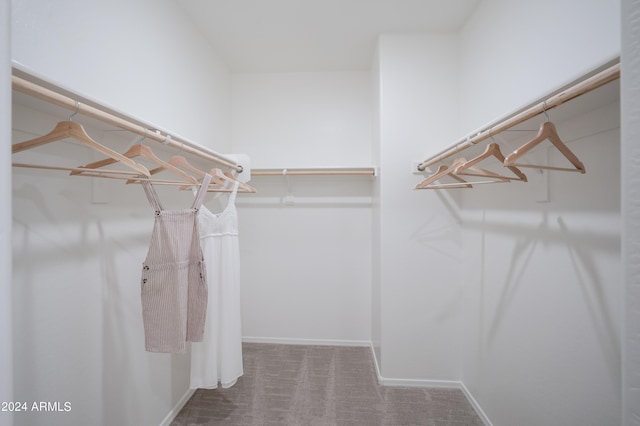 13259 N 145th Ln, Surprise, AZ 85379 - spacious closet featuring carpet floors