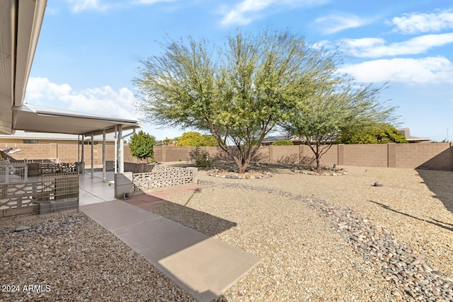 view of yard featuring a patio