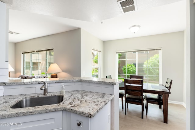 kitchen with a sink, light stone counters, light wood-type flooring, and healthy amount of natural light