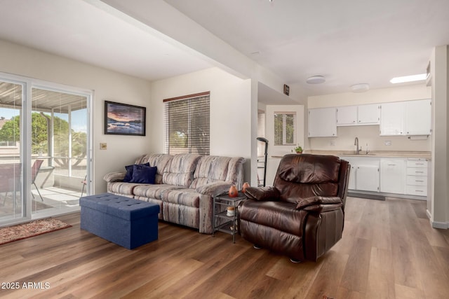 living room featuring wood finished floors