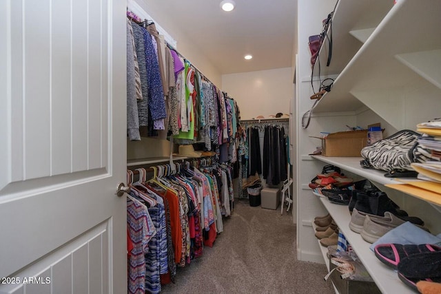 spacious closet featuring light colored carpet