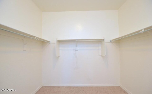 walk in closet with light carpet