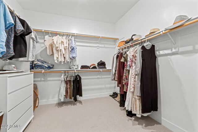 spacious closet featuring light colored carpet