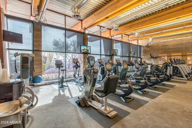 exercise room featuring expansive windows