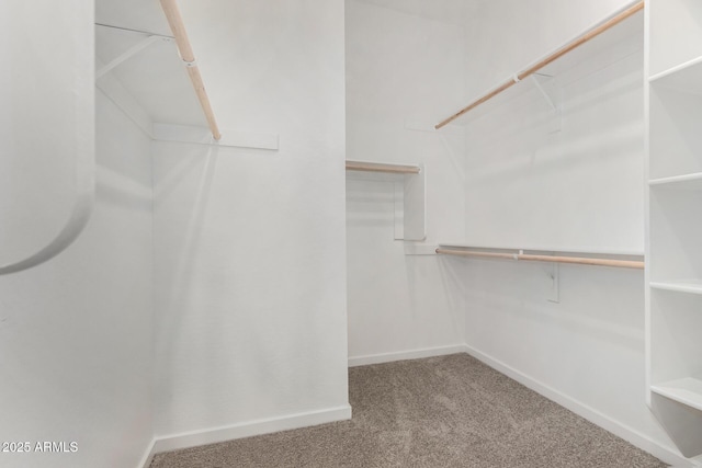 walk in closet featuring carpet floors