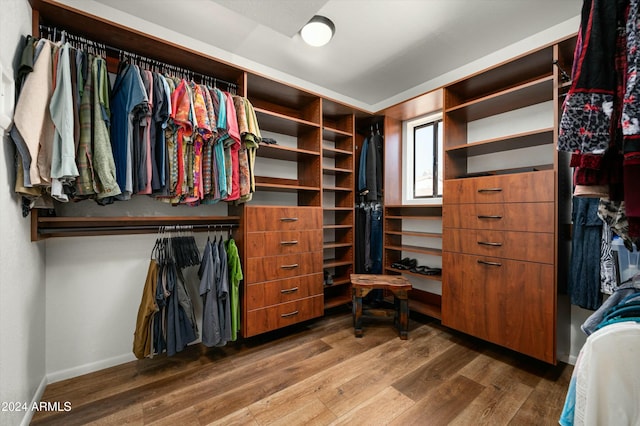 spacious closet with hardwood / wood-style floors