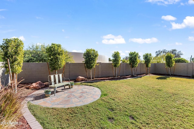 view of yard featuring a patio