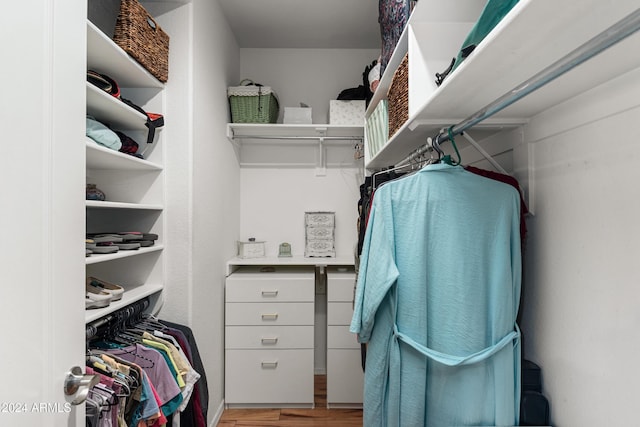 spacious closet featuring light wood-type flooring