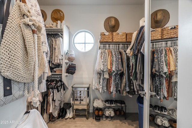 view of spacious closet