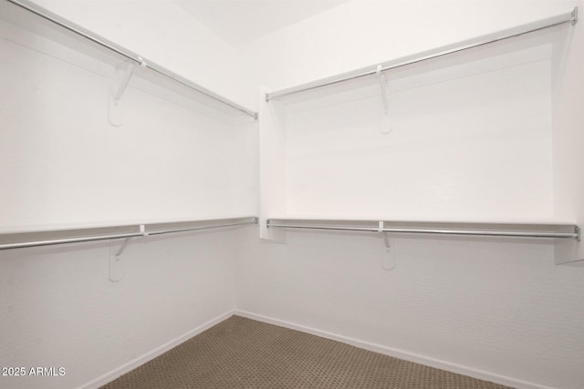 spacious closet with carpet floors