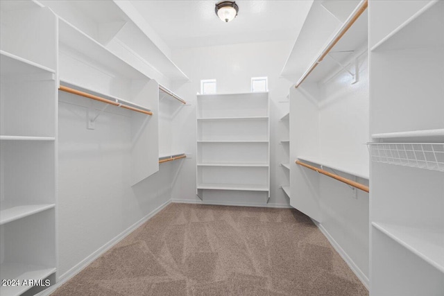 spacious closet with carpet flooring