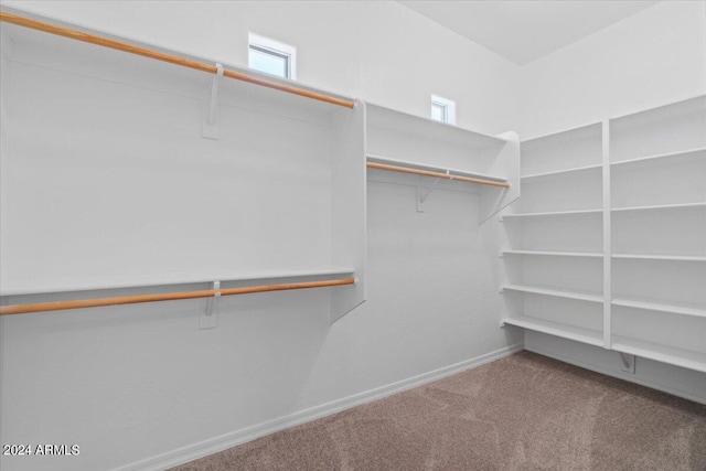 walk in closet featuring carpet flooring