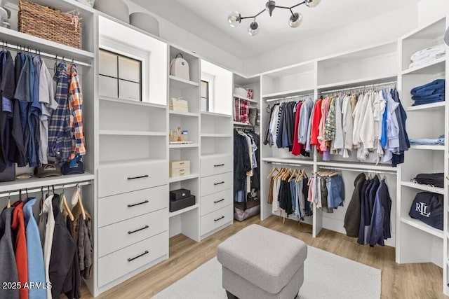 walk in closet featuring light hardwood / wood-style floors