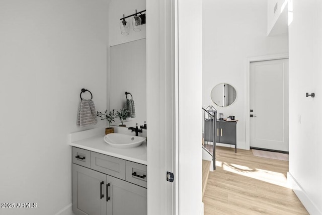 bathroom with wood-type flooring and vanity