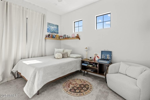 view of carpeted bedroom