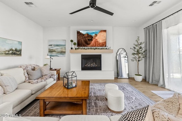 living room with ceiling fan and wood-type flooring