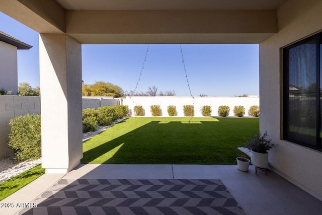 view of yard featuring a patio